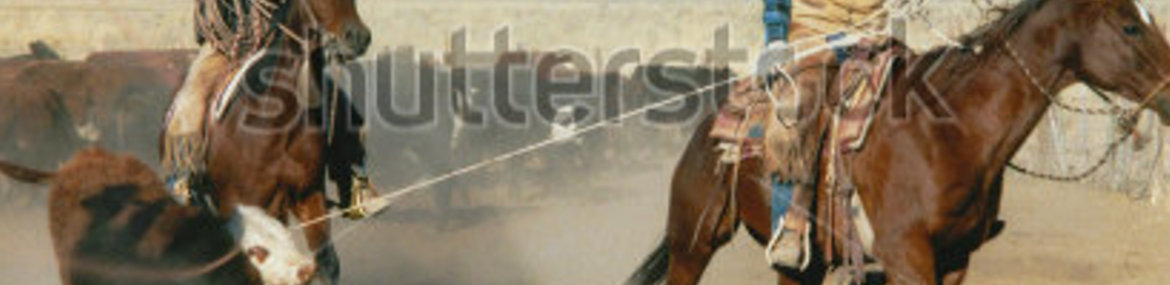 Look-image-render20130426-14-wo3rux