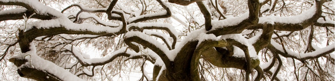 Look-image-render20121207-2-l9j7ci